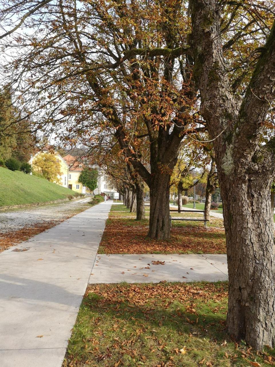 Apartments Soelek - Vila Golf Rogaška Slatina Extérieur photo